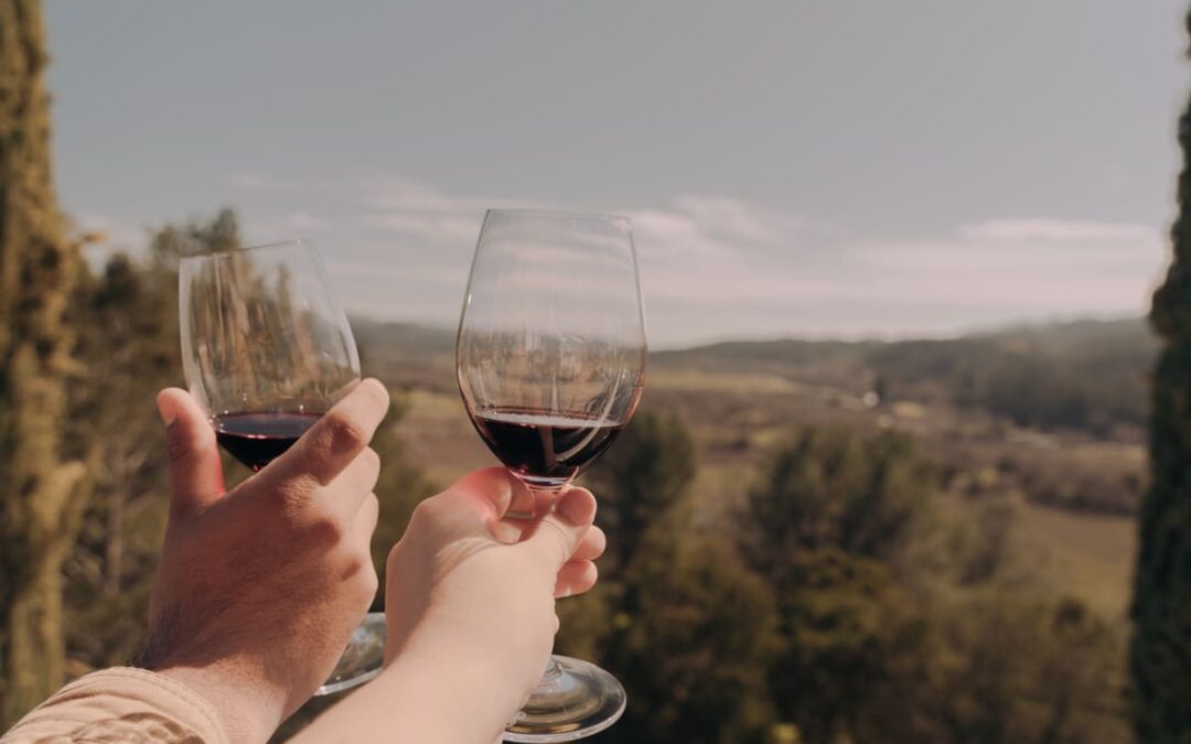 hands holding wine glasses